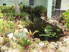 Small Water Feature